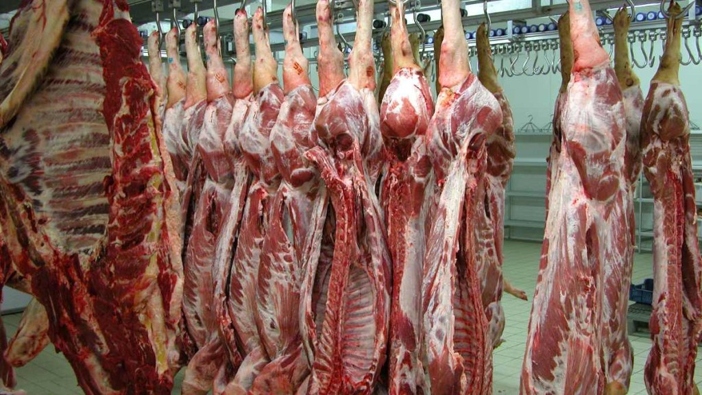 Decline of UK abattoirs